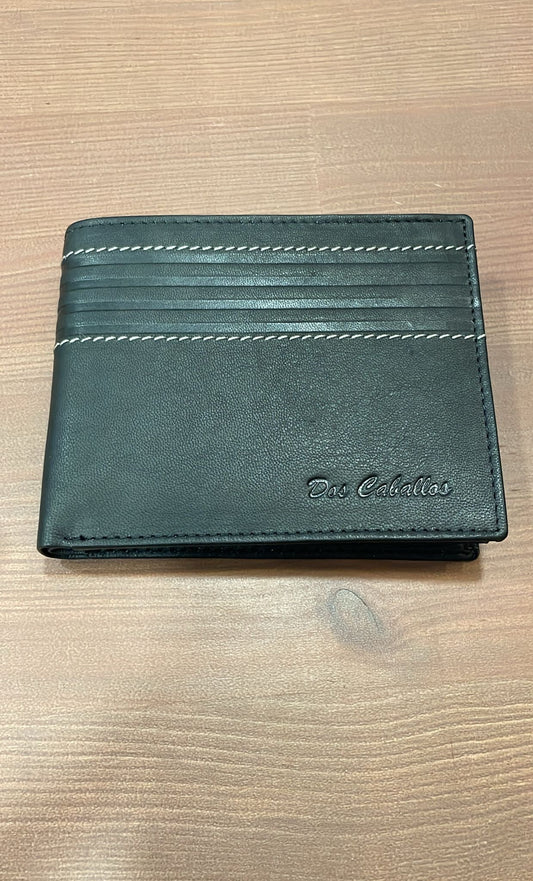 CARTERA PIEL
