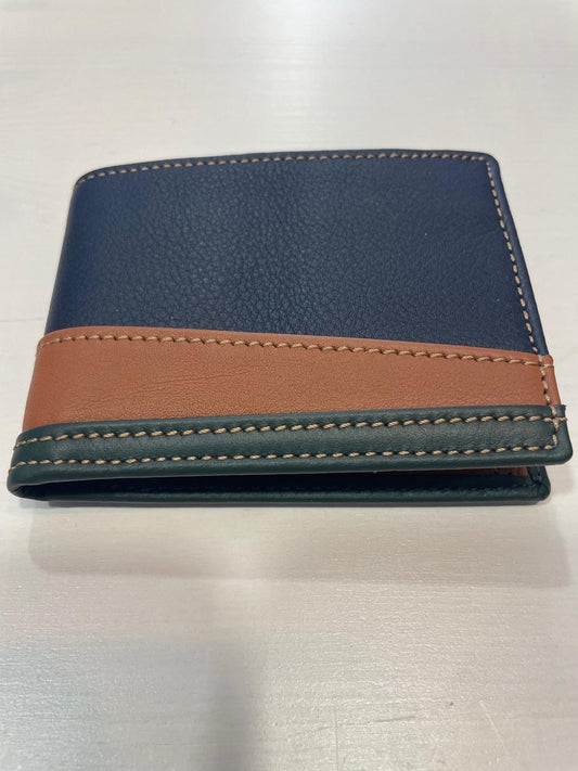 CARTERA PIEL